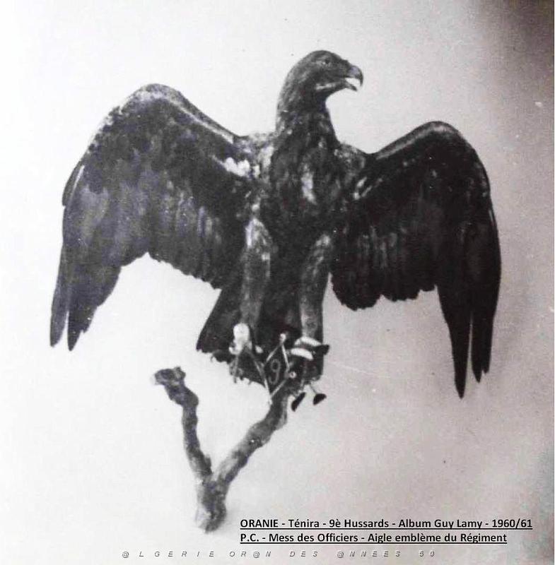 9e Hussards- Lamy 032.JPG
